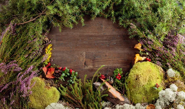 古老的木制背景，有不同的北方植物和浆果 — 图库照片