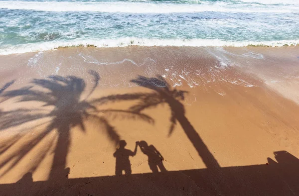 Playa tropical prístina con sombras de palmeras y feliz c —  Fotos de Stock