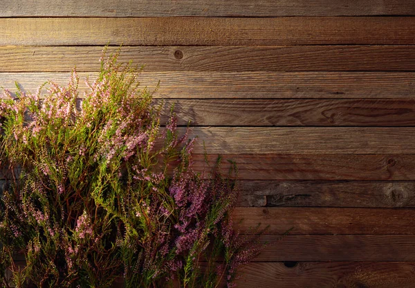 Blooming pink heather (calluna vulgaris) on a rustic wooden back — Stock Photo, Image