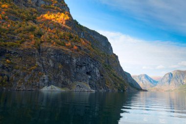 doğal manzara Norveç Fiyordları.