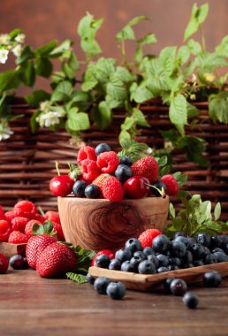 Çilek renkli çeşitli Mix, yaban mersini, 