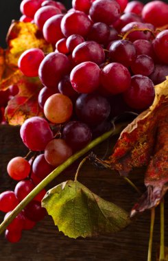 yaprakları ile üzüm.