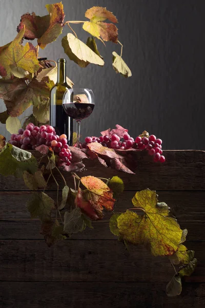 Rött vin och röda druvor. — Stockfoto