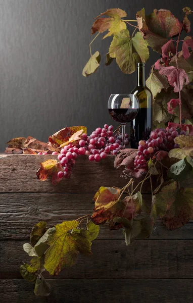 Vino tinto y uvas. — Foto de Stock