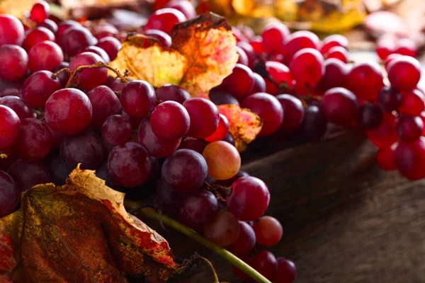 Uvas con hojas . —  Fotos de Stock