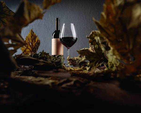 Bouteille et verre de vin rouge sur une table avec des feuilles de vigne séchées . — Photo