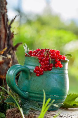 Kavanozda kuşüzümü.