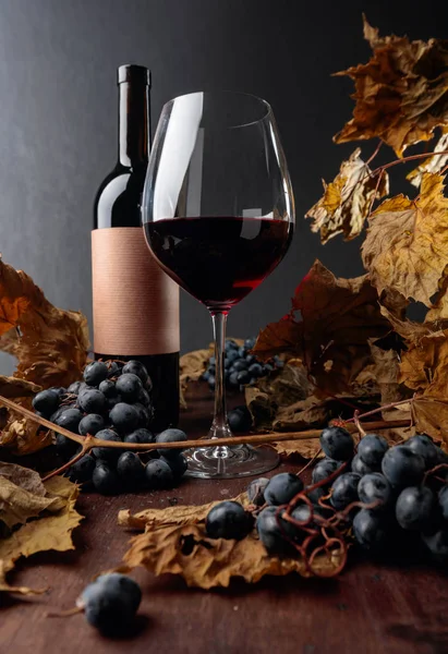 Butelka i kieliszek czerwonego wina na stole z suszonymi winoroślą pozostawia — Zdjęcie stockowe
