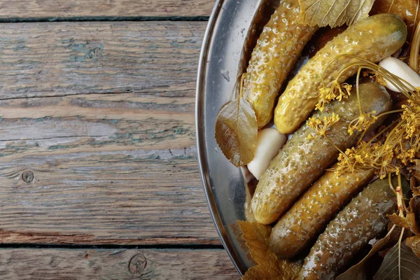 Homemade pickled cucumbers in brine. — Stock Photo, Image