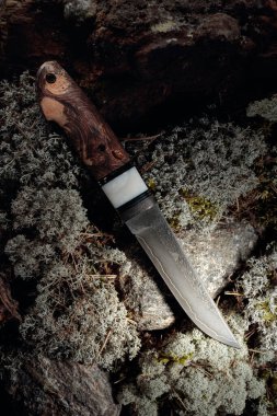 Avcı el yapımı bir bıçak ormanda bir yosun üzerinde. Sapı - Japon akçaağacı.