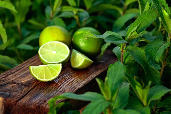 Wet Growing Mint Garden Limes Lime Slices Mint Leaves Old — Stock Photo, Image