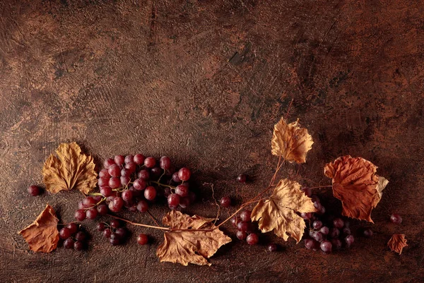 Mogna Röda Druvor Och Torkade Vinblad Gammal Kopparbakgrund Kopiera Utrymme — Stockfoto