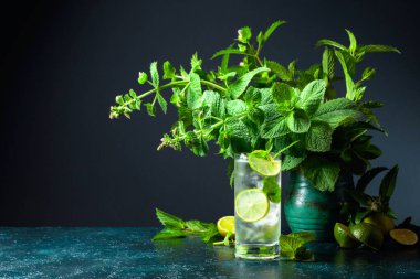 Limonlu, naneli ve buzlu yaz içeceği. Soğuk ve sağlıklı bir içecek ve bir demet taze nane. Kopyalama alanı olan koyu arkaplan.