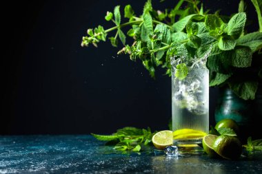 Buzlar mojito ile birlikte dondurulmuş bardağa düşer. Limonlu, naneli ve buzlu yaz içeceği. Kopyalama alanı olan koyu arkaplan.