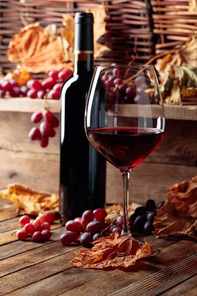 Glass and bottle of red wine with grapes. Wine, grapes and dried up vine leaves on a old wooden table.