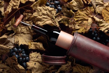 Tirbuşonlu bir şişe kırmızı şarap. Kurumuş asma yaprakları ve mavi üzümlerin üzerinde. Bir şişe boş eski kağıt etiket, metin için boş alan.