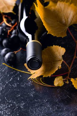 Eski mavi bir masada işlenmemiş kırmızı şarap şişesi, asma dalı ve üzüm. Boşluğu kopyala.