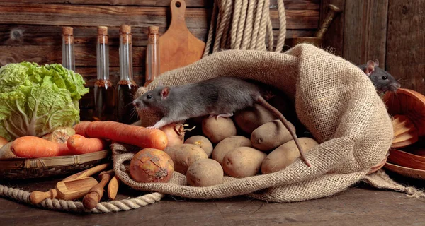 Ratten Auf Einem Alten Holztisch Mit Gemüse Und Küchenutensilien — Stockfoto