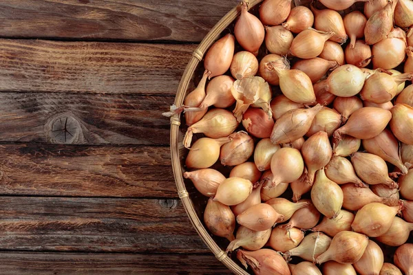 Onion Old Wooden Table View Copy Space — Stock Photo, Image