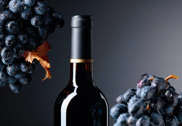 Unopened Bottle Red Wine Wet Dark Blue Grapes Dried Leaf — Stock Photo, Image