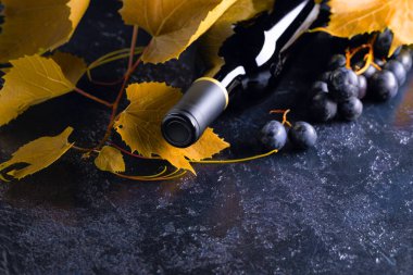 Eski mavi bir masada işlenmemiş kırmızı şarap şişesi, sarı asma yaprakları ve üzümler. Boşluğu kopyala.