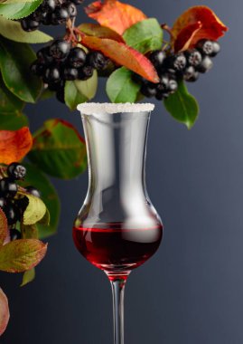 Meyve suyu ve şuruplu siyah boğaz (aronia melanocarpa). Koyu arkaplanda yaprakları olan taze meyveler. Boşluğu kopyala.