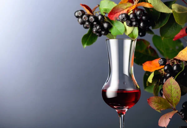 Black Chokeberry Aronia Melanocarpa Juice Syrup Fresh Berries Leaves Dark — Stock Photo, Image