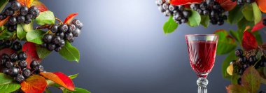 Olgun, sulu böğürtlenli ve renkli yapraklı siyah böğürtlen likörü. Metnin için boşluk kopyala.