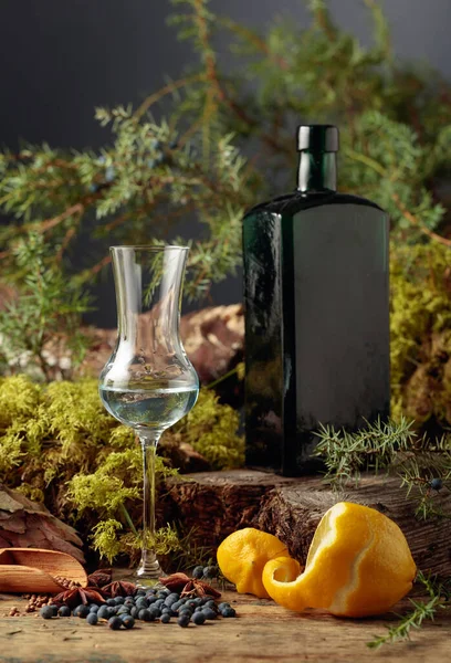 Gin Małej Szklance Zabytkowej Butelce Ciemnego Szkła Jagody Anyżu Kolendry — Zdjęcie stockowe