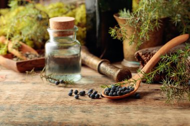 Eski ahşap bir masada ardıç tütünü ve ardıç meyvesi. Ardıç ağacının arkaplan dallarında, antika şişe ve pirinç havan topuzlu. Böğürtlenli tahta kaşığa odaklan..