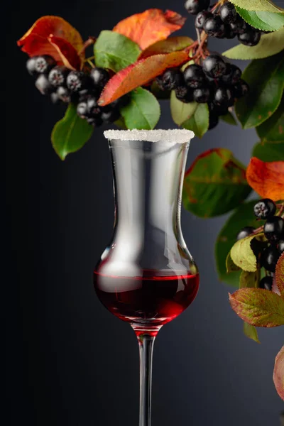 Black Chokeberry Aronia Melanocarpa Juice Syrup Fresh Berries Leaves Dark — Stock Photo, Image