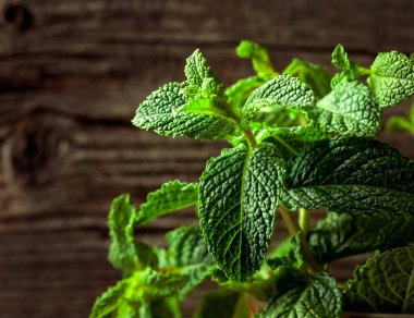 Nane yetiştiriyorum. Eski ahşap arka plan. Seçici odaklanma. Boşluğu kopyala.