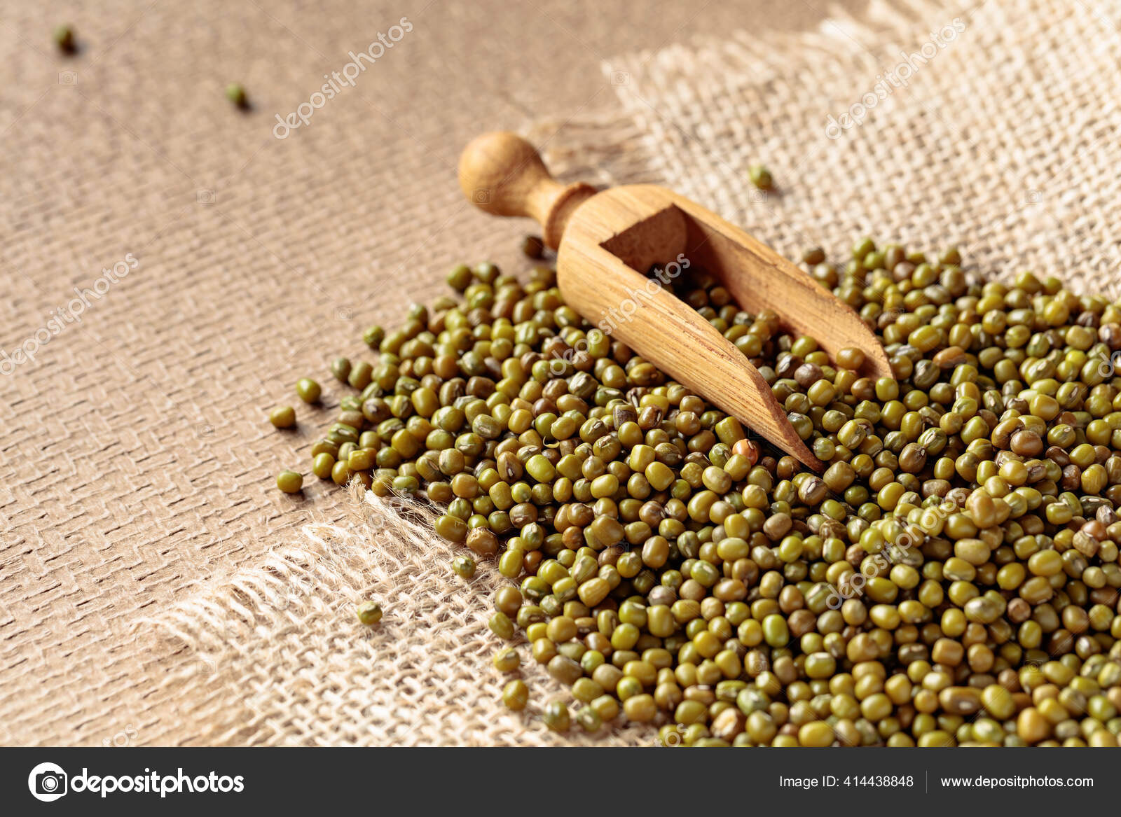 Raw Uncooked Green Lentils Lens Culinaris Wooden Spoon Stock Photo by