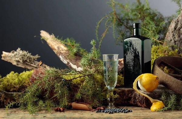 Ginebra Vaso Pequeño Una Botella Antigua Vidrio Oscuro Las Bayas —  Fotos de Stock