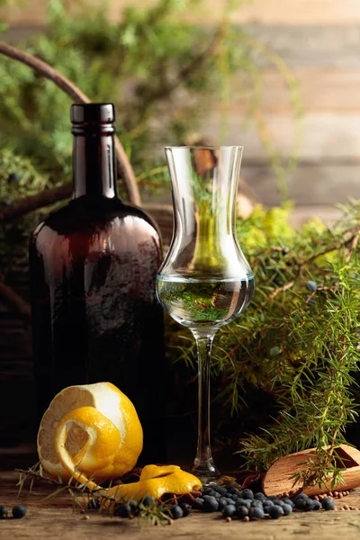 Gin in a small glass and an antique bottle of dark glass. Anise, coriander, and juniper berries are scattered on a wooden table. In the background branches of juniper, old tree, and moss.