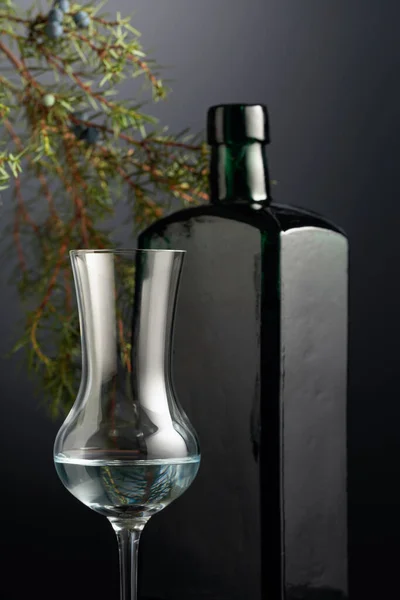 Teinture Genièvre Gin Sur Fond Sombre Dans Les Branches Fond — Photo