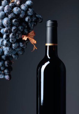 Kırmızı şarap şişesi ve siyah arka planda kurumuş yaprağı olan koyu mavi üzümler. Boşluğu kopyala.