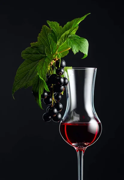 Bicchiere Liquore Ribes Nero Sciroppo Bevanda Dolce Ramo Con Foglie — Foto Stock