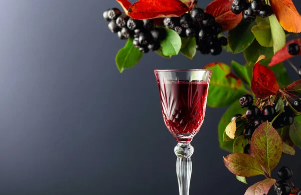 Bir bardak likör ile siyah boğaz (Aronia melanocarpa). Koyu arkaplanda yaprakları olan taze meyveler. Boşluğu kopyala.