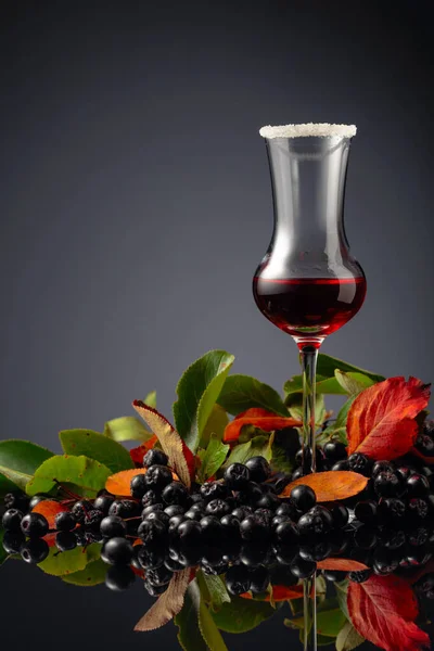 Black Chokeberry Aronia Melanocarpa Juice Syrup Fresh Berries Leaves Black — Stock Photo, Image