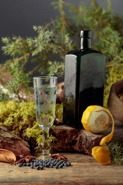 Gin Piccolo Bicchiere Antica Bottiglia Vetro Scuro Anice Coriandolo Bacche — Foto Stock