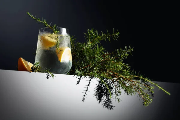 Alkoholdryck Gin Tonic Cocktail Med Citron Enbär Gren Och Mörk — Stockfoto