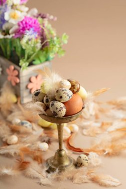 Bej arka planda yumurta, tüy ve bahar çiçekleriyle paskalya kompozisyonu. Seçici odak.