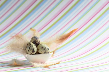 Renkli çizgili arka planda bıldırcın yumurtaları ve tüyleriyle Paskalya kompozisyonu. Boşluğu kopyala.