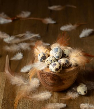 Eski ahşap bir masada bıldırcın yumurtası ve tüyleri..