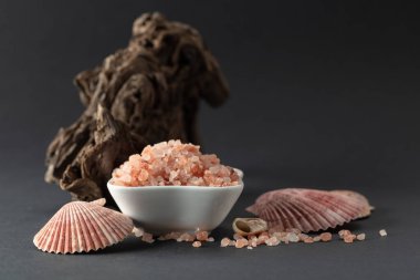 Pembe Himalaya tuzu, siyah arka planda pürüzler ve deniz kabukları. Boşluğu kopyala.