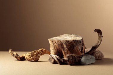 Doğal ahşap kaplamalı kompozisyon ve eko ürünlerin reklamları için kuru kütük. Kopyalama alanı olan bej arkaplan.