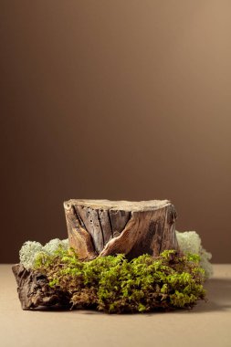 Doğal ahşap gövdeli kompozisyon ve ekolojik ürünlerin reklamını yapmak için yosun. Ürününüzü bir kütüğe koyun. Kopyalama alanı olan bej arkaplan.