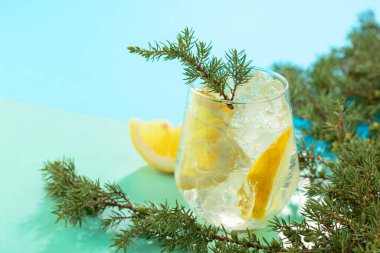 Ezilmiş buz ve limon dilimli cin tonik kokteyli. Yeşil-mavi arka planda ardıç dalları ile yaz ferahlatıcı içecek. Boşluğu kopyala.