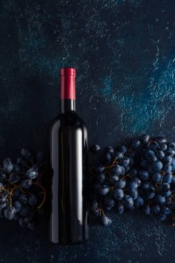 Mavi bir arka planda bir şişe kırmızı şarap ve üzüm. Boşluğu kopyala.